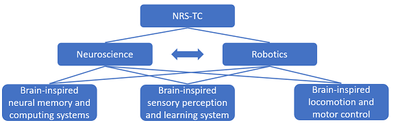 Neuro Robotics