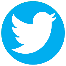twitter logo 2